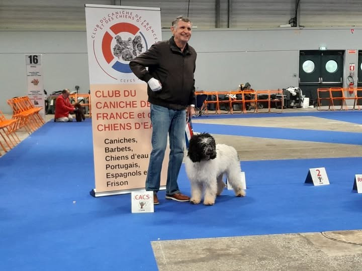 Uma De la plume de pam noire